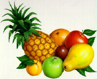 fruits.jpg (48290 bytes)